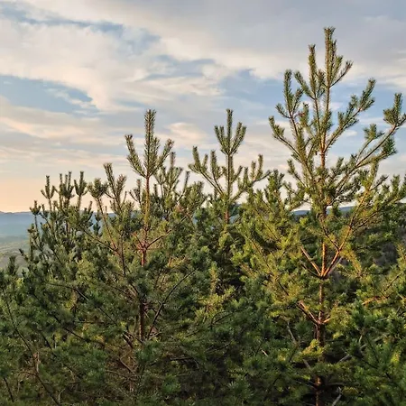 Studenac Mionica Sevrljuge