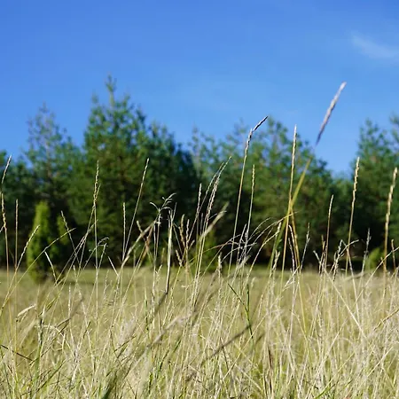 Nyaraló Studenac Mionica