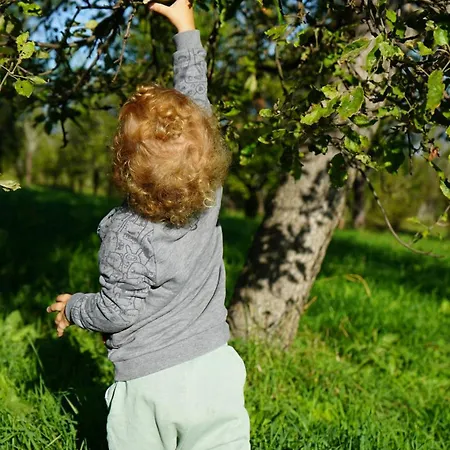 Studenac Mionica Casa de Férias