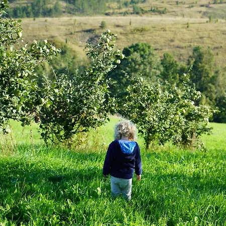 Casa de Férias Studenac Mionica *