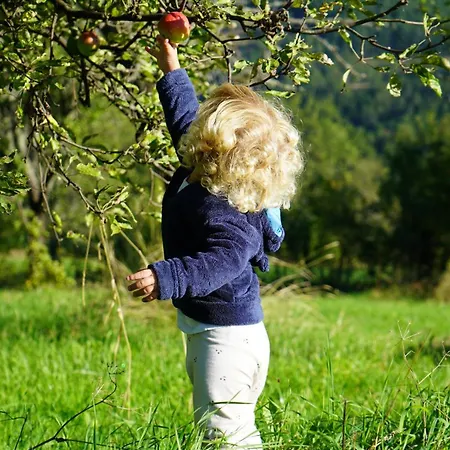 Studenac Mionica Sevrljuge