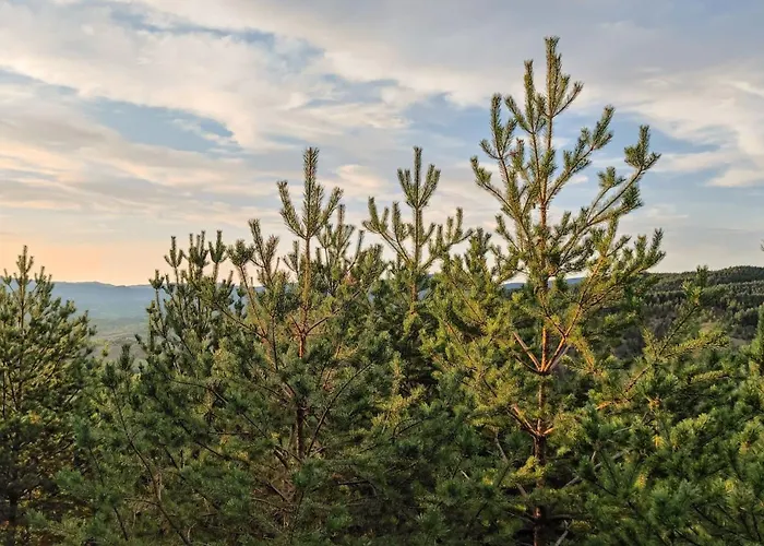 Studenac Mionica Sevrljuge