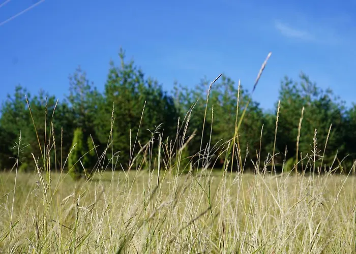 Feriehus Studenac Mionica