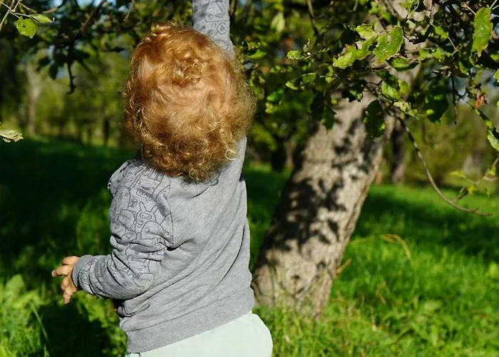 Studenac Mionica Feriehus