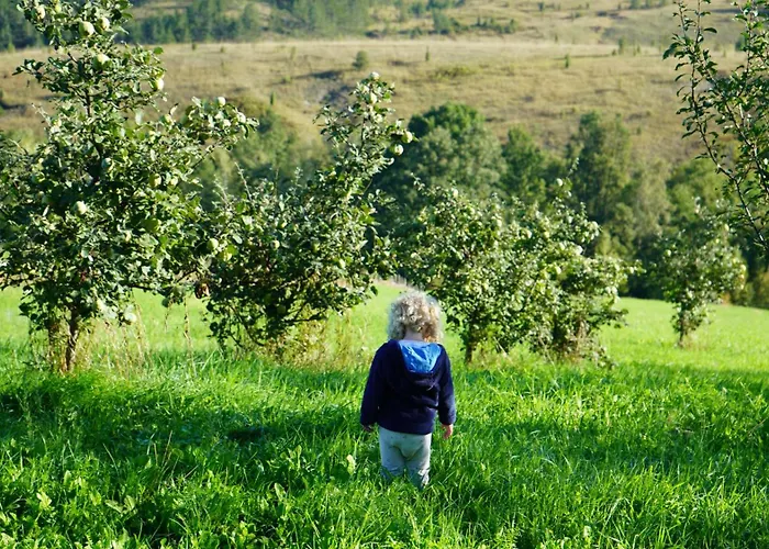 Feriehus Studenac Mionica *