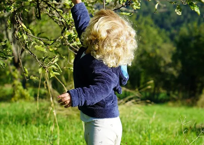 Studenac Mionica Sevrljuge